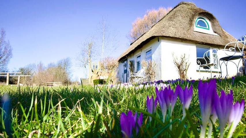 Ferienhaus für 5 Personen, mit Garten in Nordstrand (Gemeinde) - 2