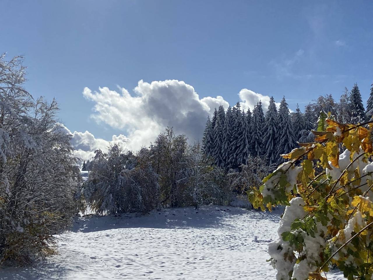 Gîte Le Nivolet - le Chalet de la Forêt in La Féclaz, Les Déserts