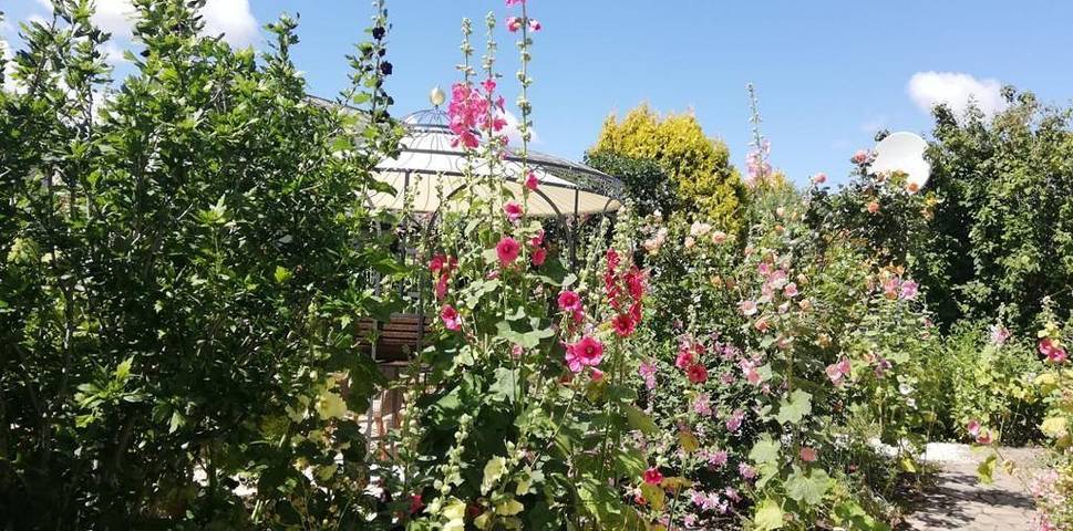 Ferienhaus für 4 Personen, mit Terrasse und Garten in Garz/Rügen - 2