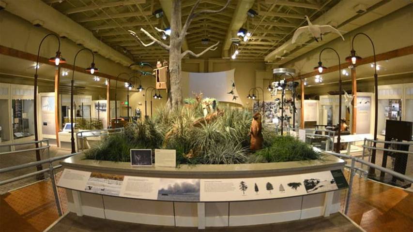 Vacation rental for 18 people, with hot tub and yard in Corolla