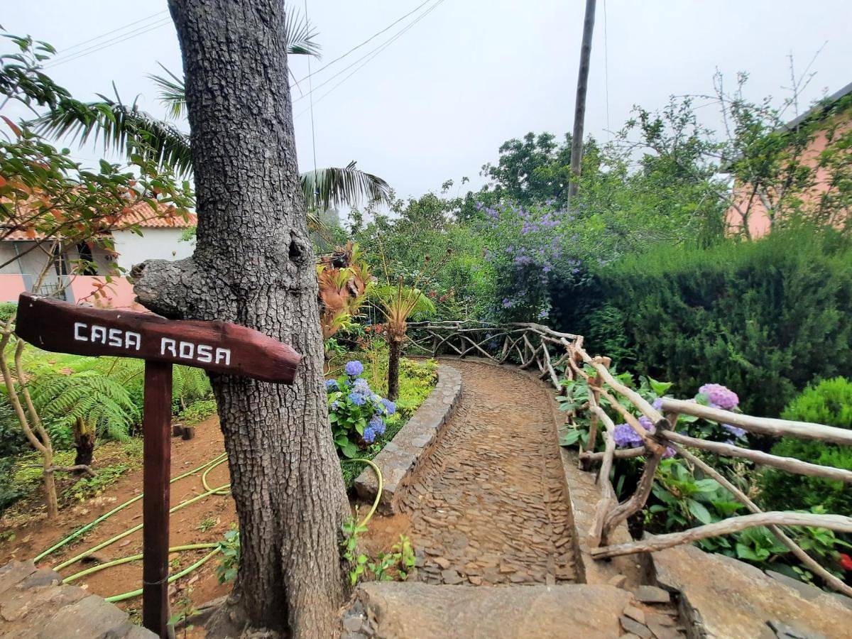 Casa Rosa in Camacha, Madeira