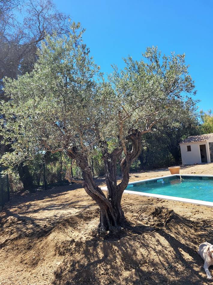 Location de vacances pour 6 personnes, avec terrasse et piscine à Aubignan - 3