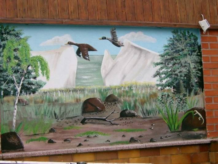 Ferienwohnung für 2 Personen, mit Garten und Terrasse in Baabe - 2