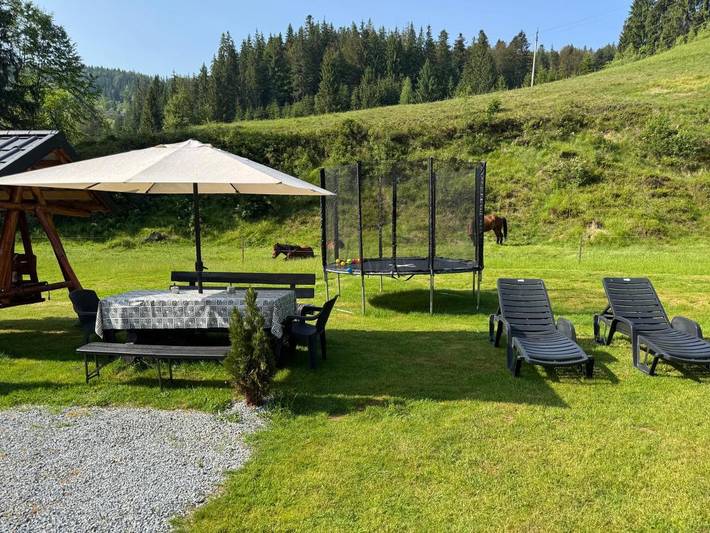 Gîte pour 11 personnes, avec jardin ainsi que jacuzzi et balcon à Alba (Romania) - 2