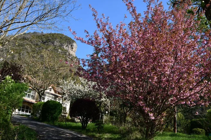 Maison de vacances pour 2 personnes, avec jardin et vue, animaux acceptés - 1