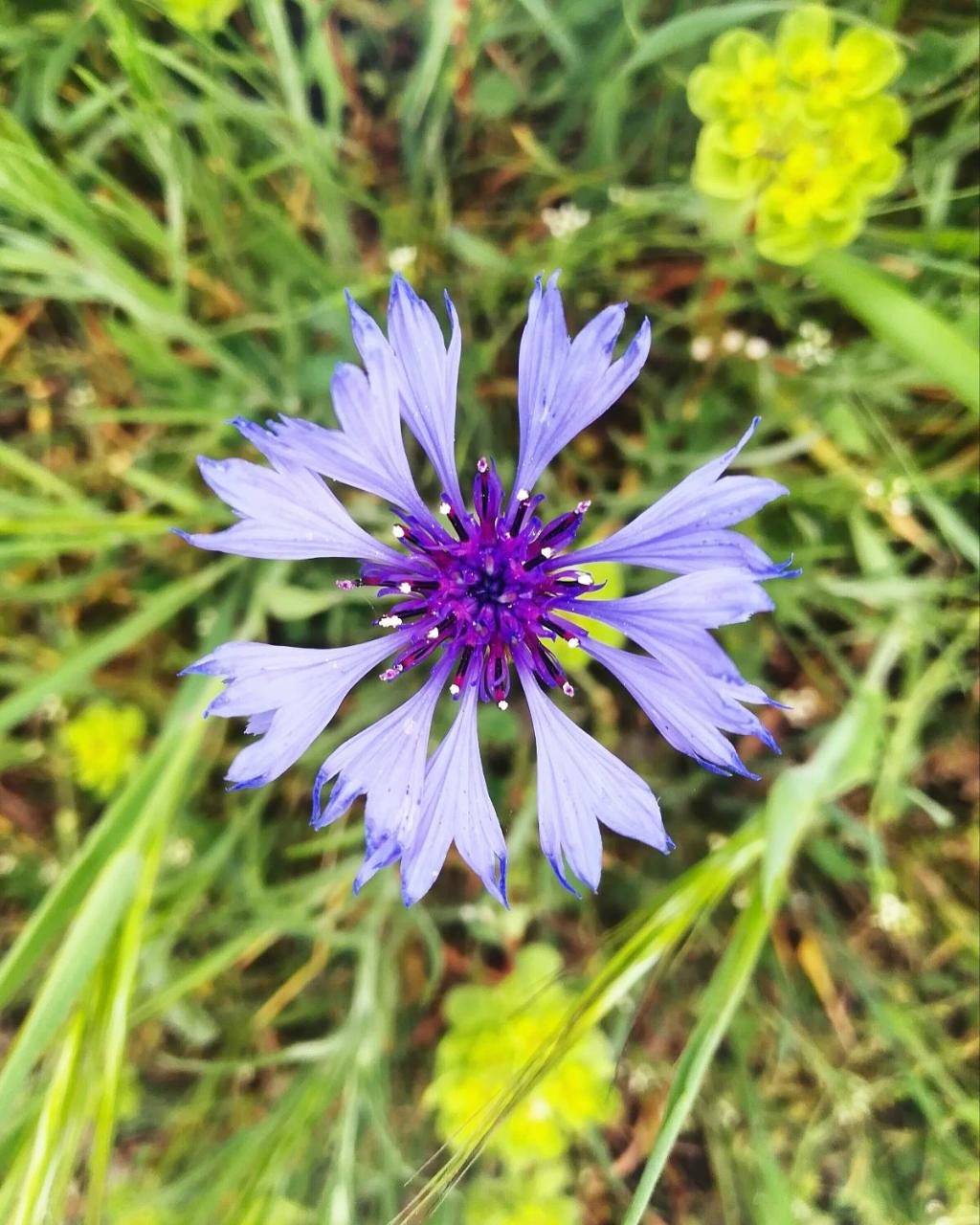 Agriturismo Il Riccio in Rionero in Vulture, Vulture