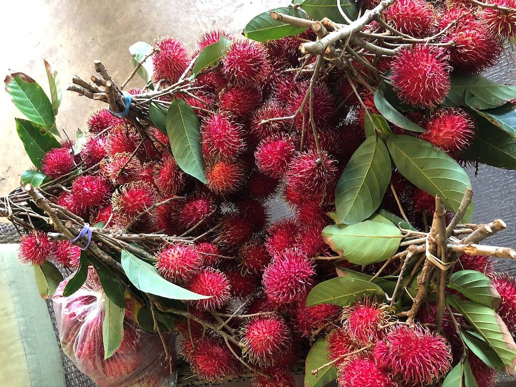 Royal Palm Cottage / Sauna / Akaka Falls / Private Lanai in Hakalau, Hamakua