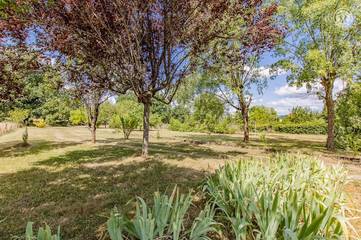 Gîte pour 8 Personnes dans Joncy, Région de Charolles, Photo 3