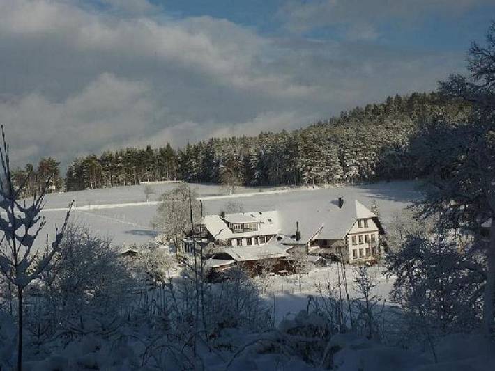 Ferienhaus für 4 Personen, mit Garten und Sauna sowie Pool und Whirlpool - 1