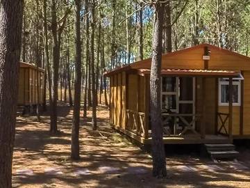 Bungalow voor 2 Personen in São Teotónio, Alentejo, Afbeelding 1