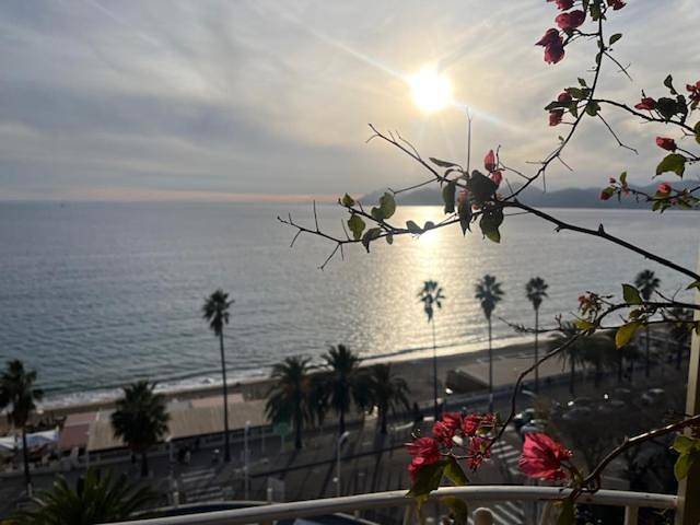 Maison d’hôte pour 2 personnes, avec jardin et terrasse à Cannes - 3