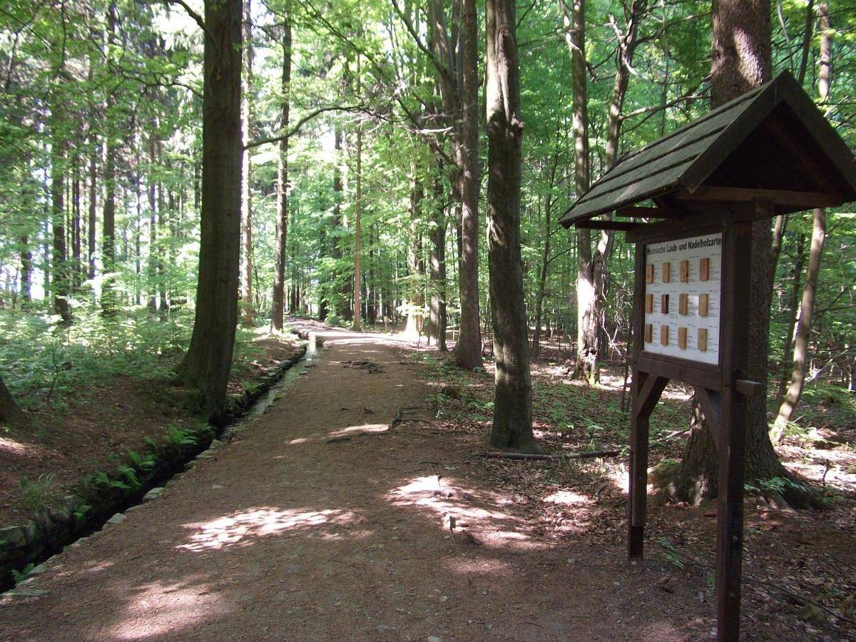 Geheel appartement, One-Bedroom Apartment in Pobershau, Marienberg