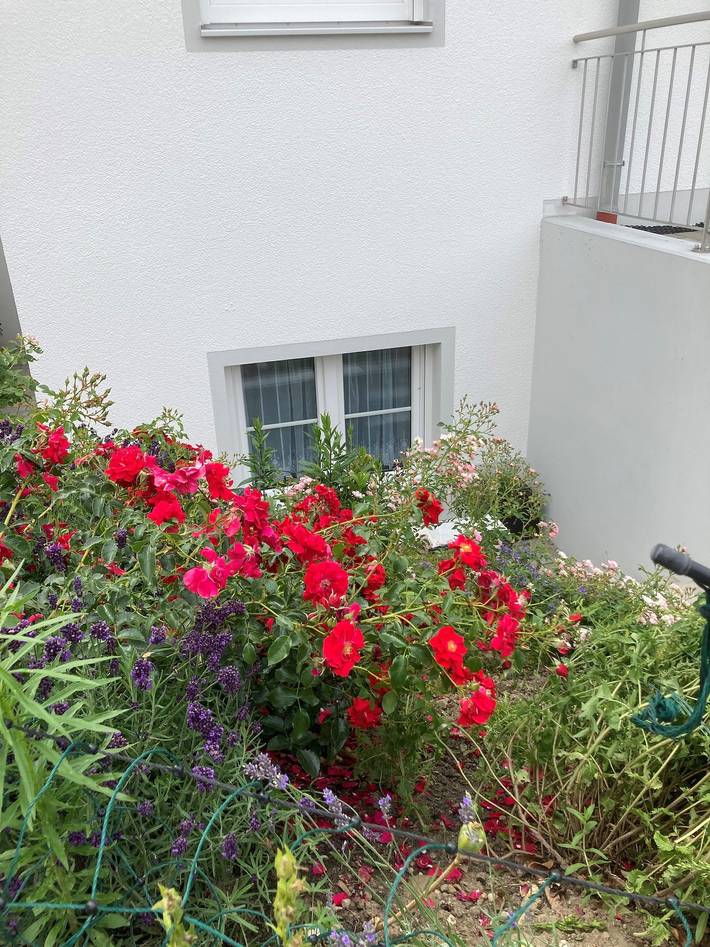 Ganze Ferienwohnung, Ferienwohnungen Christoph - Apartment Wendelstein, für 3 Personen, 45 qm in Pfaffing, Landkreis Rosenheim