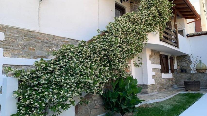 Ferienwohnung für 6 Personen in Chalkidiki