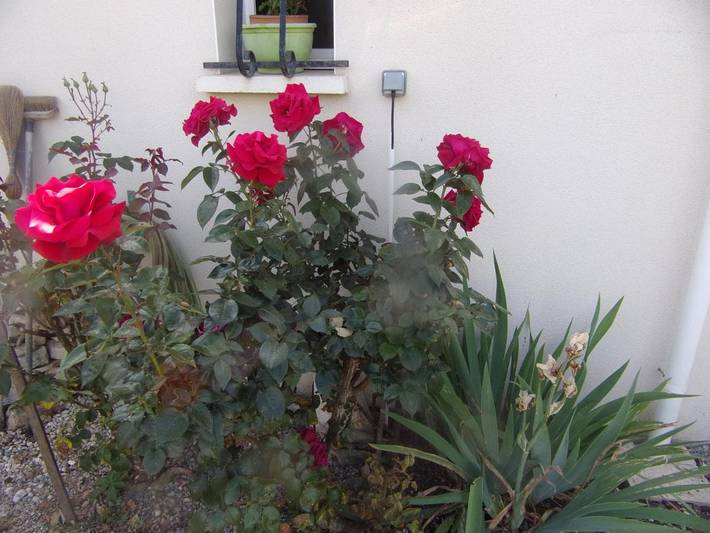 Appartement de vacances pour 2 personnes, avec vue et jardin