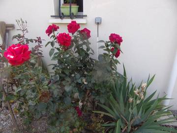 Cottage pour 2 personnes, avec jardin et vue à Tonnay-Charente