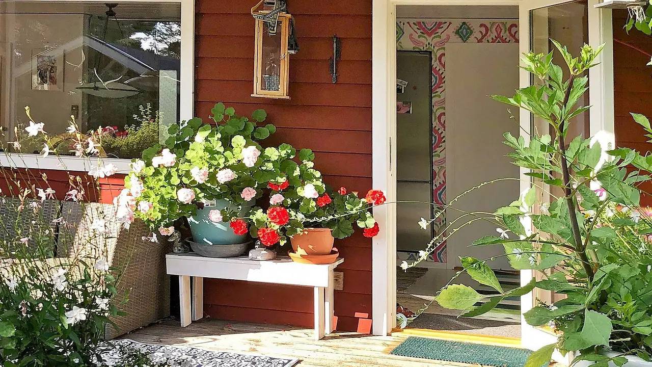 Ferienhaus für 6 Personen (67 m²) in Ornö in Stockholmer Schärengarten