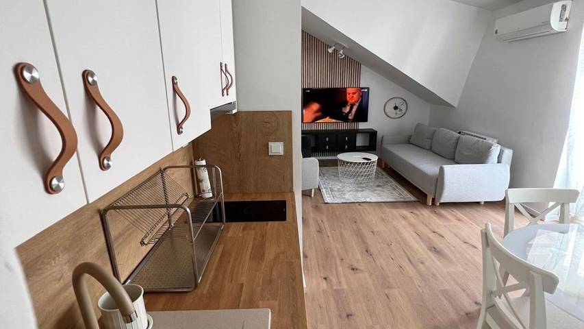 Appartamento per 3 persone, con animali domestici in Zagabria