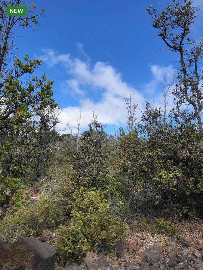 Bring Your Camp in Hawaiian Ocean View Estates, Ocean View (Hawaii)