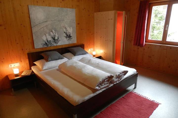 Ferienhaus für 4 Personen, mit Sauna und Garten in Dalaas - 2