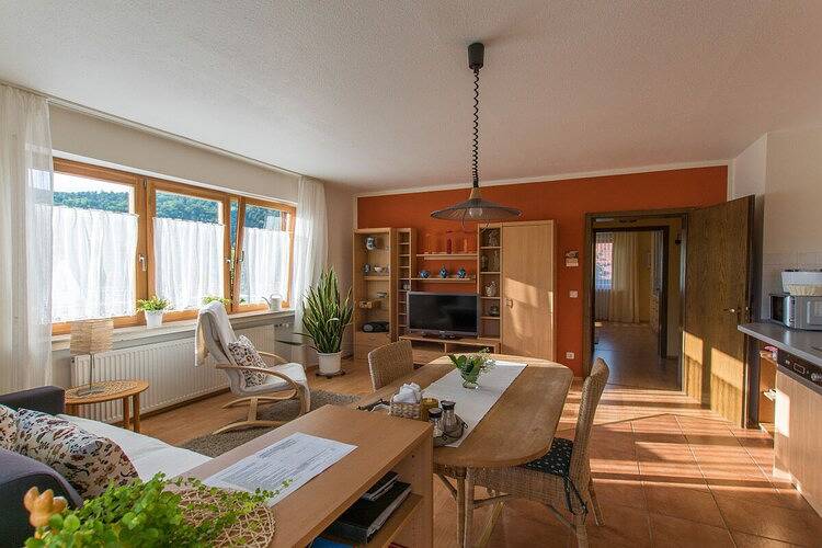 Ganze Wohnung, 1 Mainblick Brigitte in Lohr am Main, Spessart-Mainland