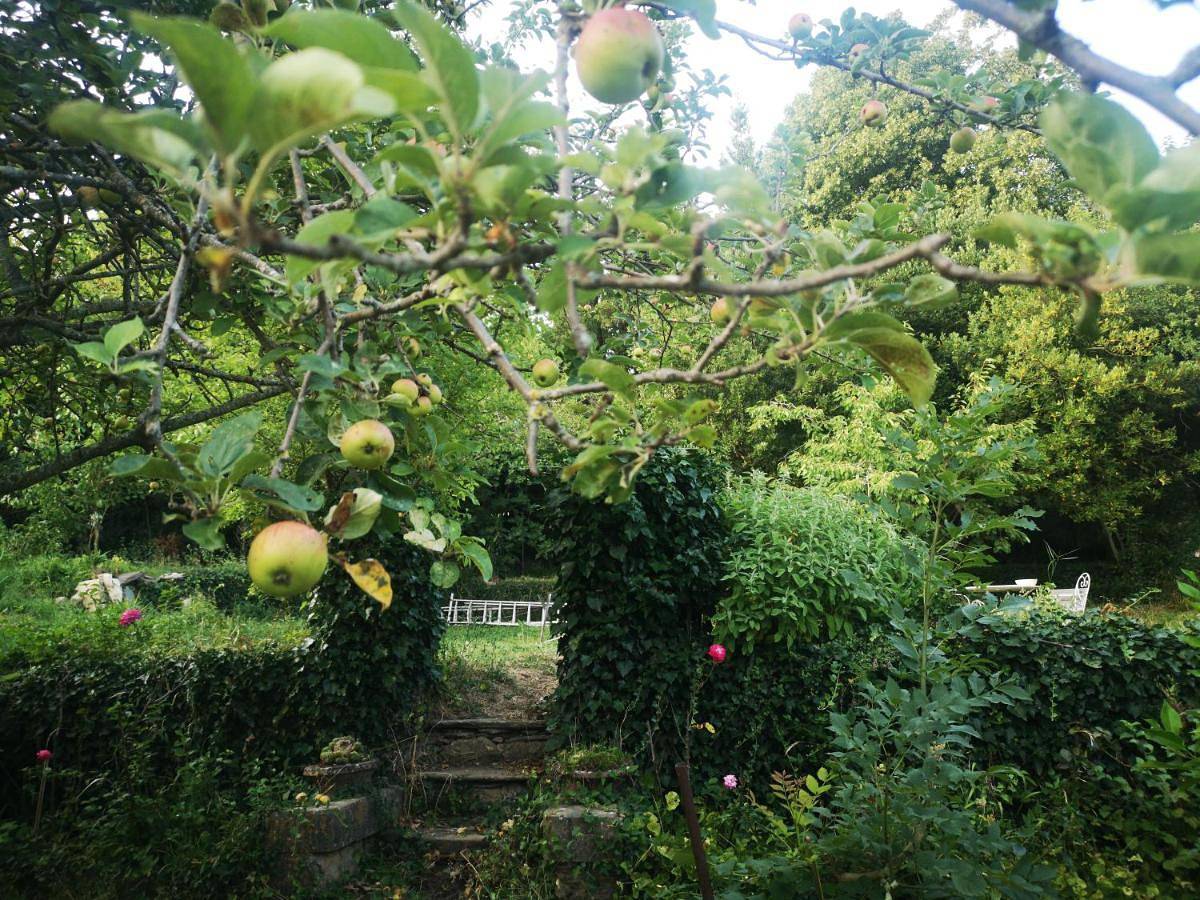 Une chambre au jardin in Saint-Pons-de-Thomières, Région de Béziers