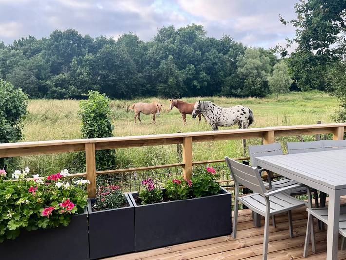 Camping pour 4 personnes, avec jacuzzi ainsi que piscine et terrasse à Les Mathes - 3