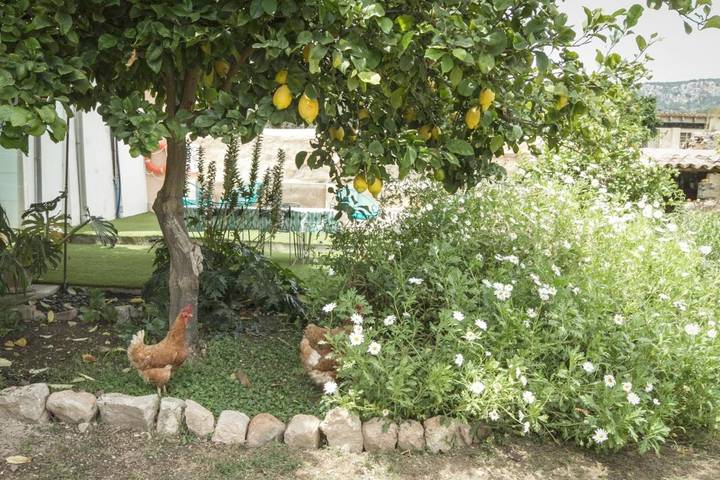Location de vacances pour 2 personnes, avec piscine et jardin ainsi que vue et bassin pour enfant à Esporles - 4