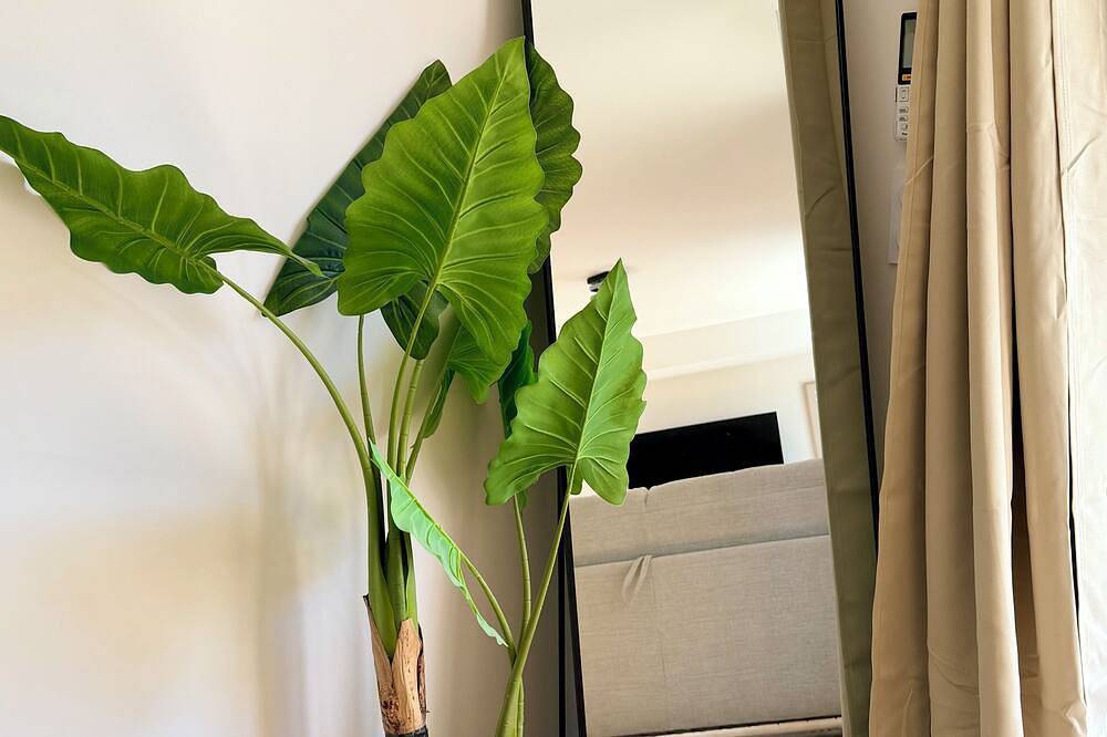 Entire apartment, Fully equipped studio with garden - Quiet & Cosy in Tarbes, Hautes-Pyrénées