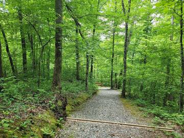 Log Cabin for 4 Guests in Fontana Lake, Swain County, Picture 4
