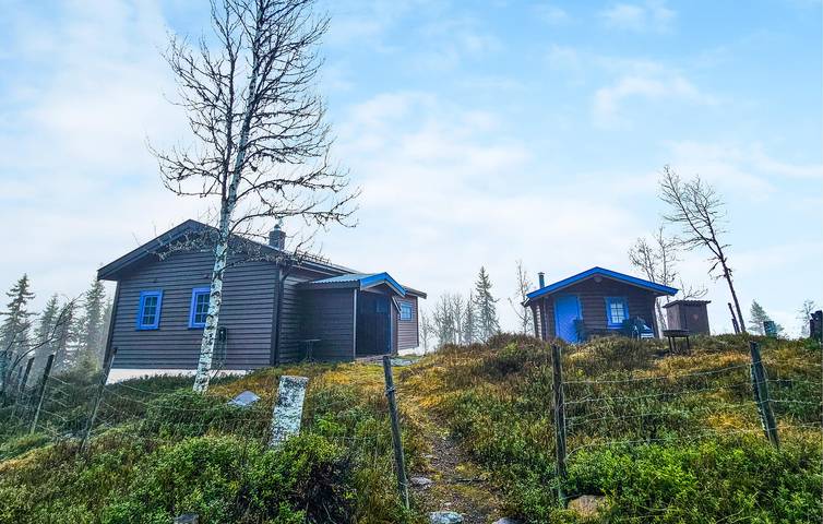 Ferienhaus für 8 Personen mit Ausblick in Nore og Uvdal