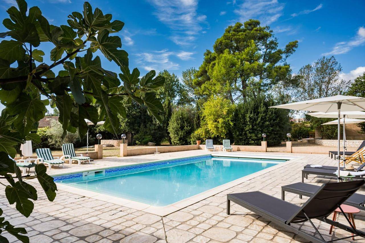 La closerie des iris in Castelnau-d'Aude, Région de Narbonne