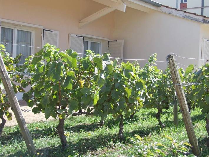 Hôtel pour 2 personnes, avec jardin et terrasse, animaux acceptés à Chagny - 2