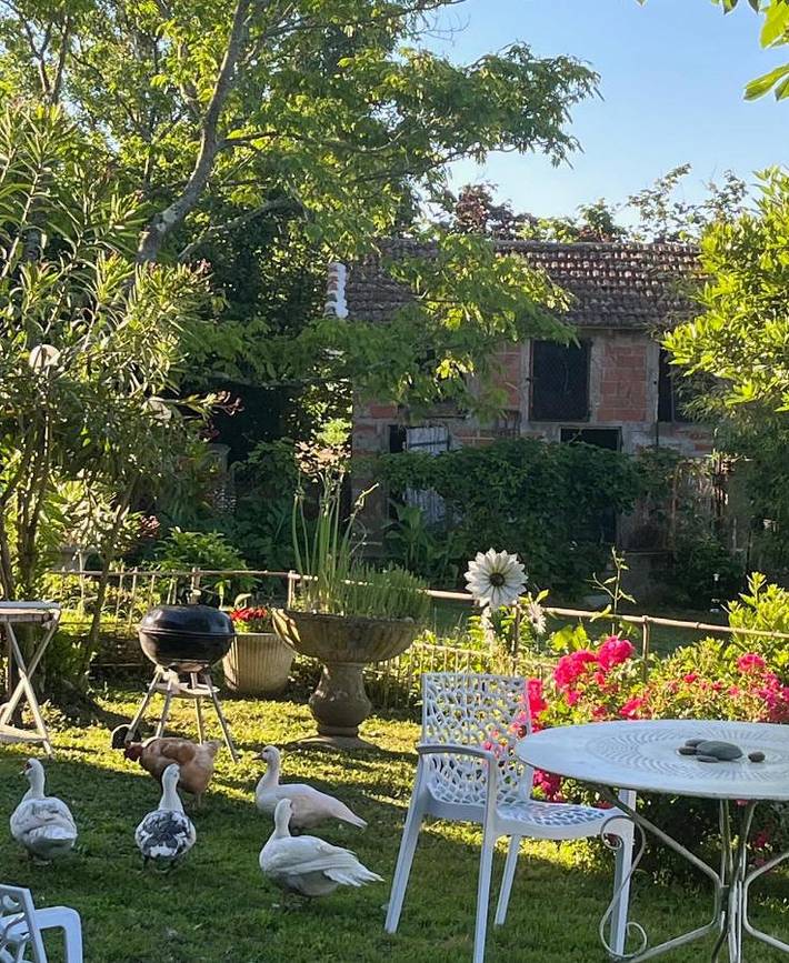 Gîte pour 4 personnes, avec jardin ainsi que terrasse et vue à Saint-Nicolas-de-la-Grave - 4
