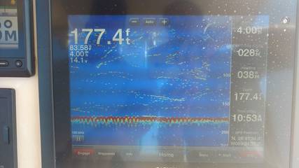 House Boat for 14 Guests in Louisiana, USA, Picture 3