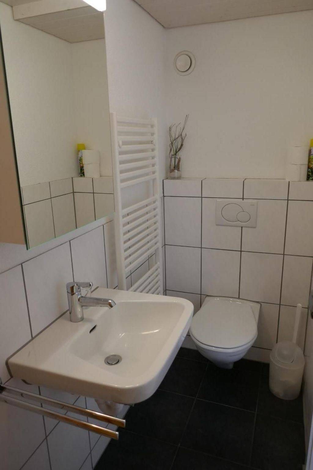 Ganze Wohnung, Zwingli's Ferienwohnung in Nesslau, Zürich Voralpen