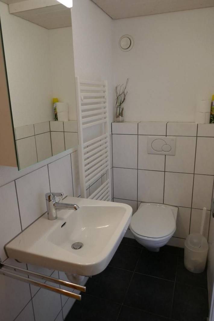 Ganze Wohnung, Zwingli's Ferienwohnung in Nesslau, Zürich Voralpen
