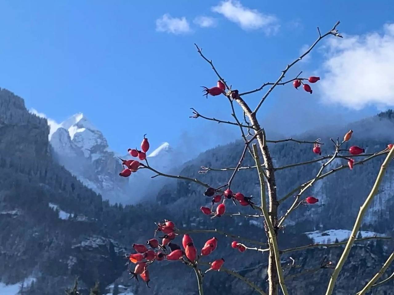 Huis 8 Personen in Meiringen, Berner Oberland