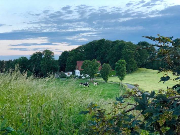 Ferienwohnung für 6 Personen, mit Terrasse und Garten sowie Seeblick und Ausblick in Wermelskirchen