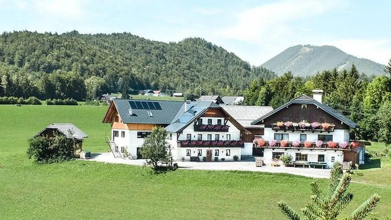 Ganze Ferienwohnung, Ferienwohnung für 4 Personen (90 m²) in Faistenau in Salzkammergut-Berge, Faistenau