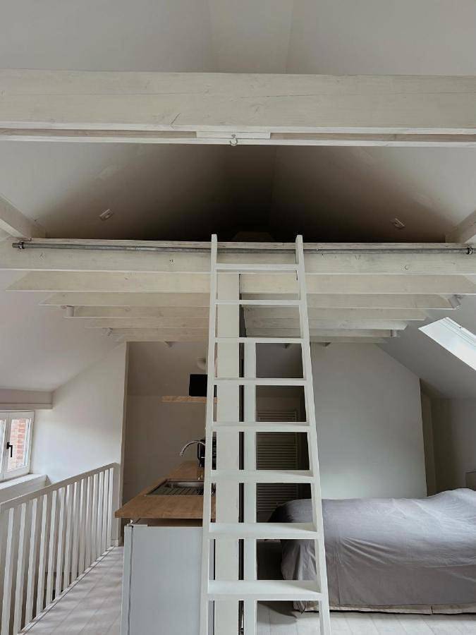 Pension voor 4 personen, met Uitzicht in Brugge-Centrum