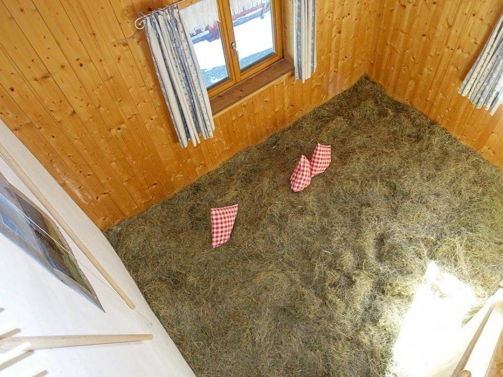 Reischhof - Heuwohnung in Missen-Wilhams, Bayerisch Schwaben