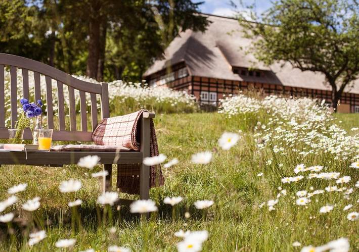 Hotel, mit Terrasse und Garten sowie Sauna und Ausblick in Penzlin