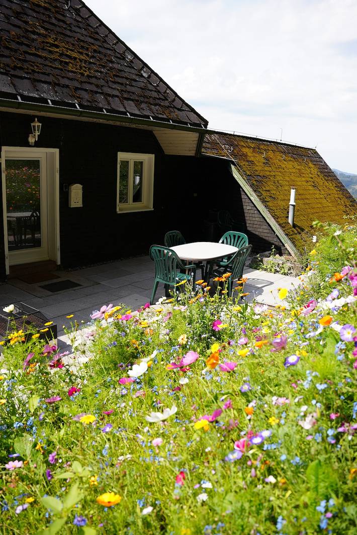 Ganze Wohnung, Ferienwohnung 'Schwarzwald Chalet - Karlshütte' mit Bergblick, privater Terrasse und Wlan in Gütenbach, Südschwarzwald