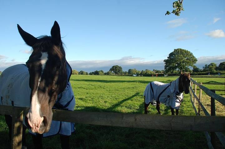 Holiday rental for 10 people, with terrace and garden in Malvern Hills