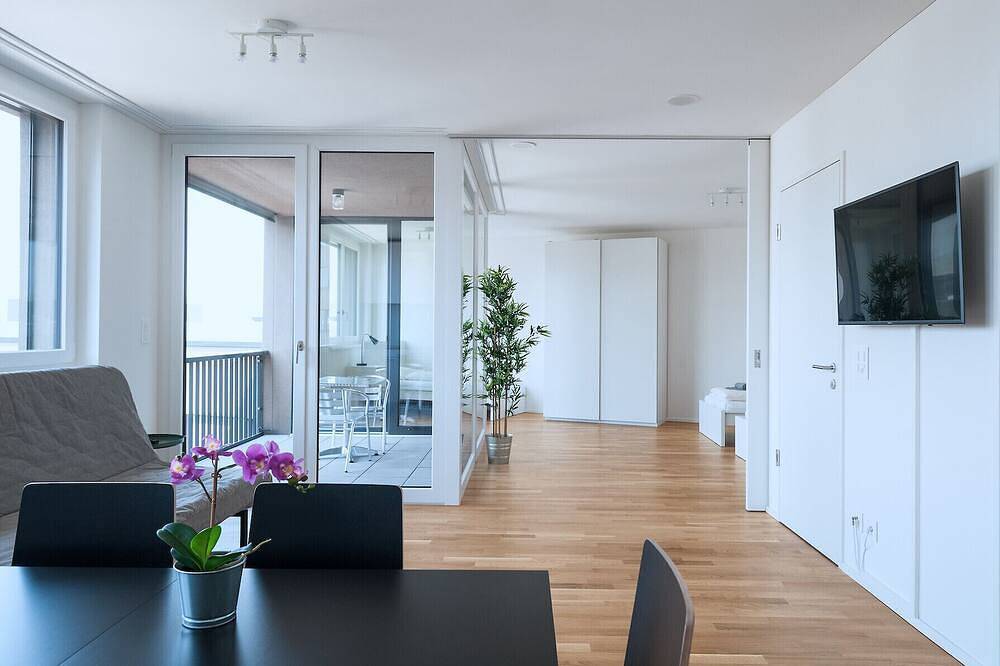 Appartamento intero, Bs Rabbit V - Messe Hitrental Apartment in Basilea, Aargau-Basel