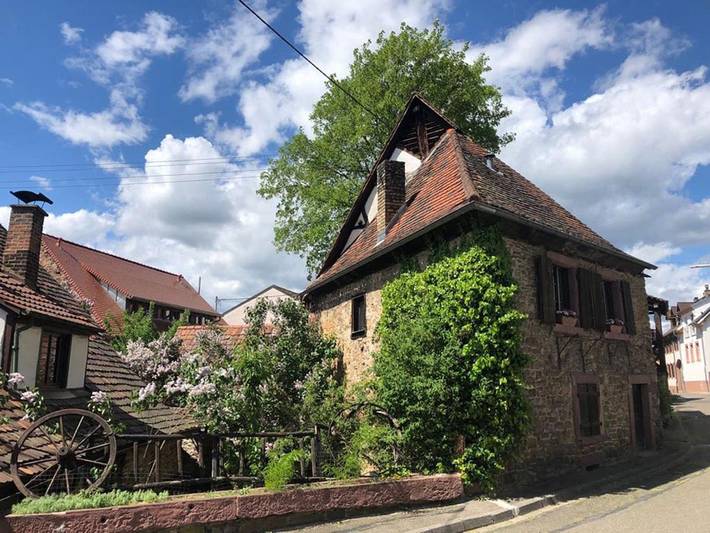 Ferienhaus für 6 Personen, mit Garten in Karlsruhe - 4