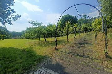 Villa per 6 Persone in Comune di Solto Collina, Prealpi Bergamasche Orientali, Foto 1