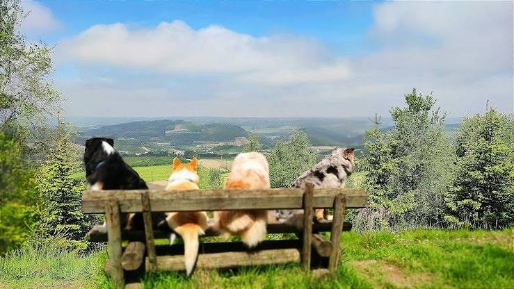 Ferienwohnung für 3 Personen, mit Balkon und Ausblick in Bestwig