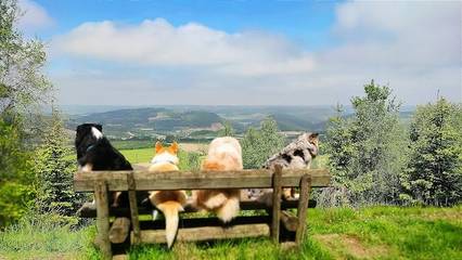 Ferienwohnung für 3 Personen, mit Ausblick und Balkon in Bestwig